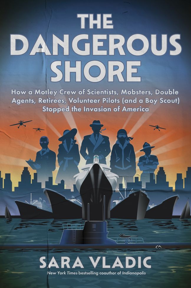 The Dangerous Shore cover