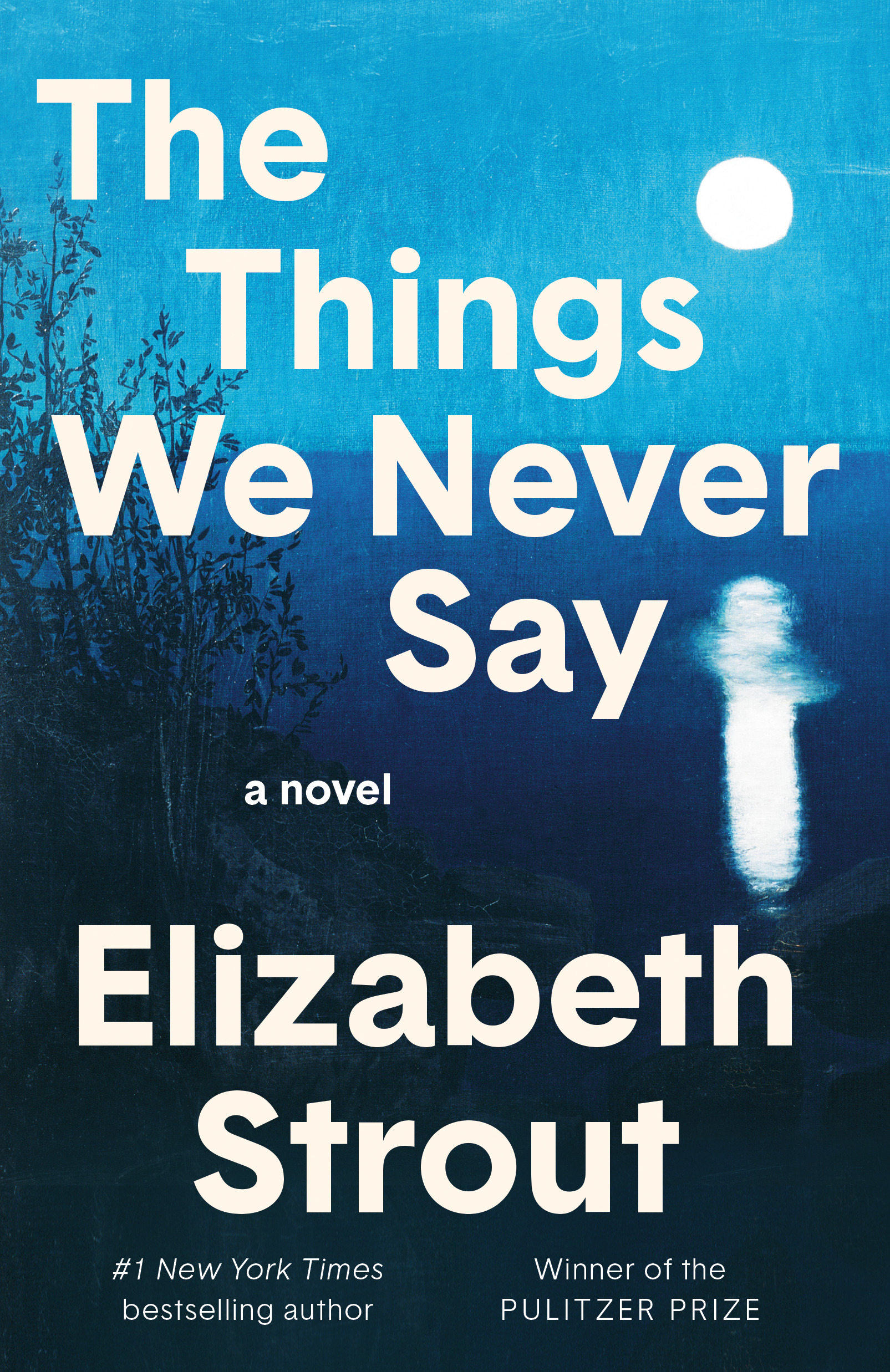 The Things We Never Say cover
